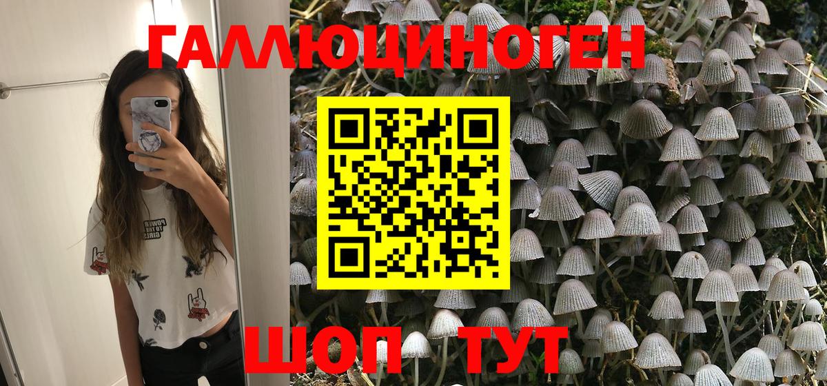 Псилоцибиновые грибы Psilocybine cubensis  Вход с VPN  Михайловск 